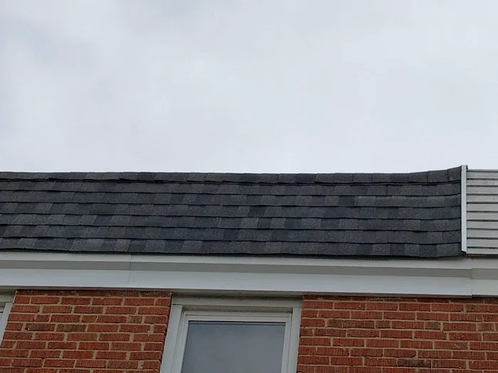 1st Amazon C.S.LLC/ Roofing & More Picture 2