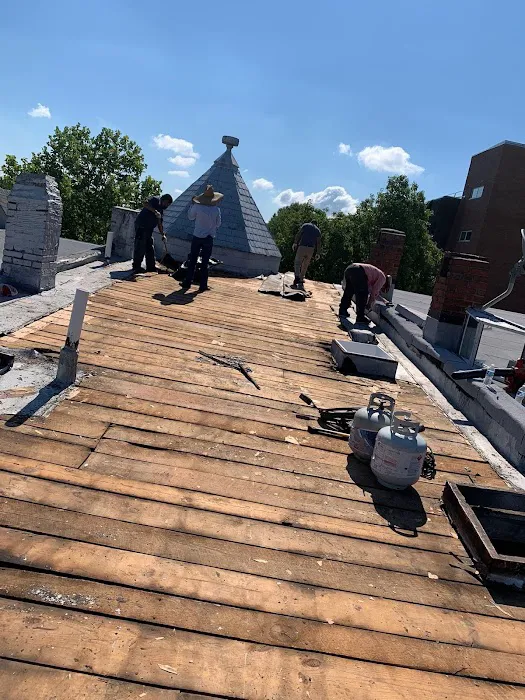 High Quality Roofing Home Improvement Picture 8