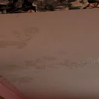 MTS Siding and Roofing LLC ico