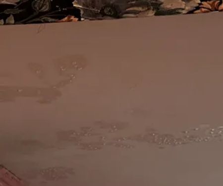 MTS Siding and Roofing LLC