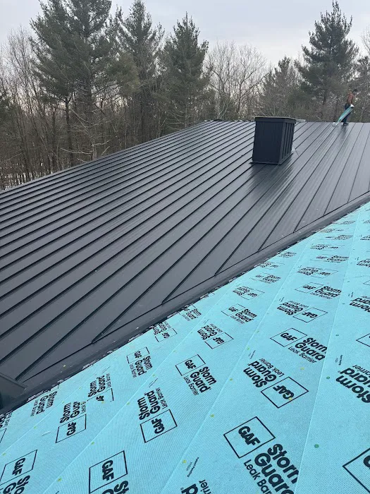 Modern Standing Seam Metal Roofing Picture 5