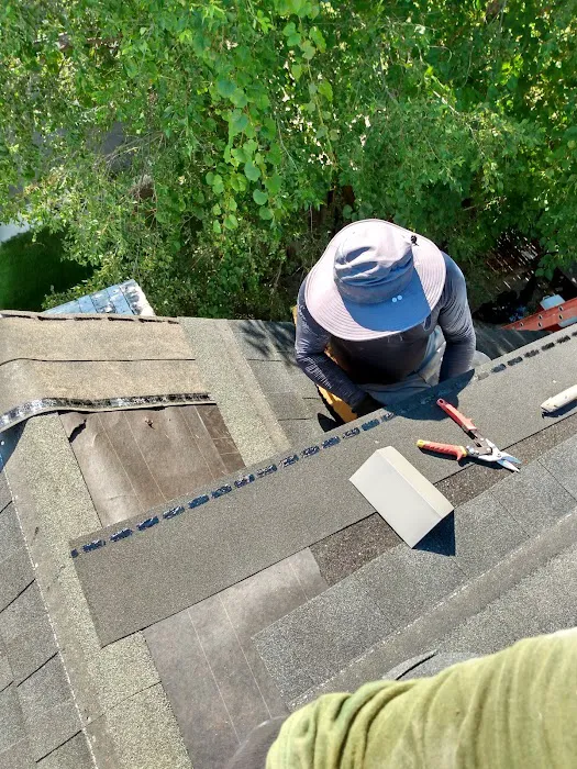 Ramiro roofing Picture 1