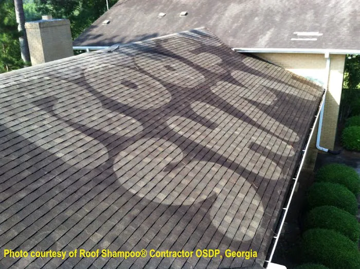 Exterior Surface-Brite Inc. / Roof Shampoo Picture 3