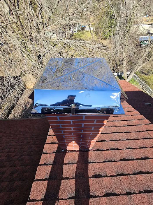 TEO Roofing Picture 6