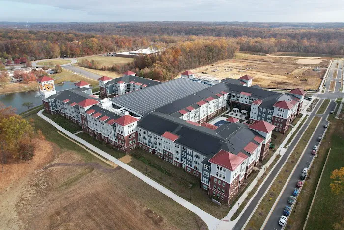 Green Construction Multi Services LLC Picture 4