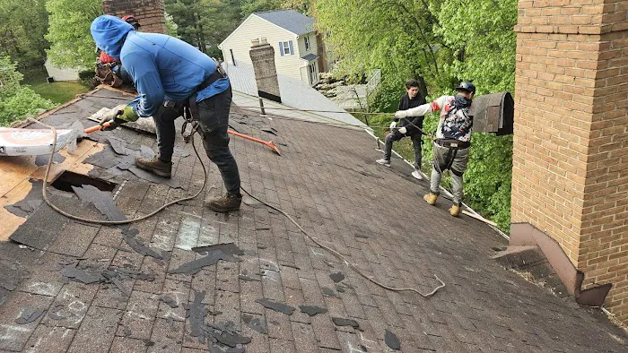 za & my services llc Picture 10