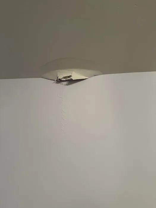 Archer Exteriors Picture 2