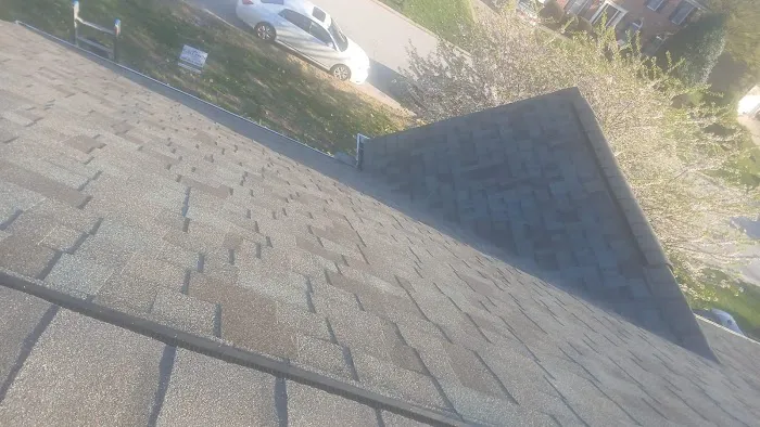 Crown Remodeling Picture 1