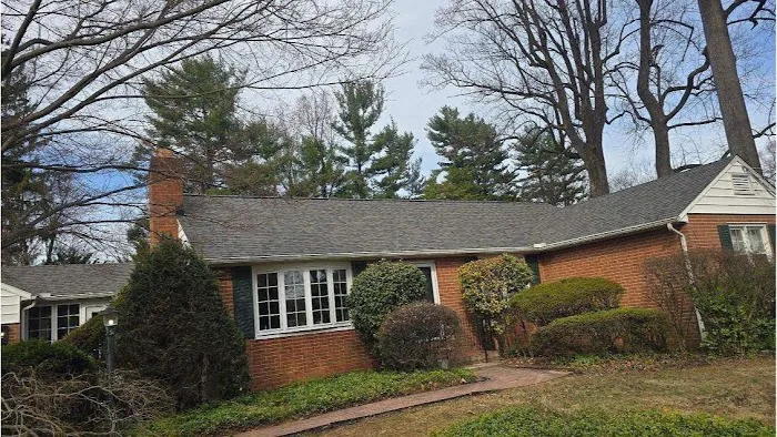 Crown Remodeling Picture 8