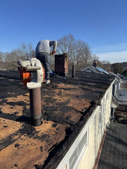 Pinkman Roofing Picture 1