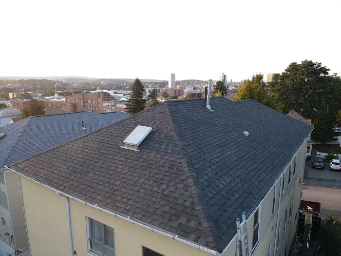 Pinkman Roofing Picture 5