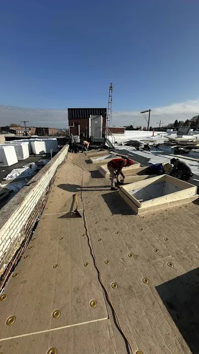 GoTech Roofing Picture 4