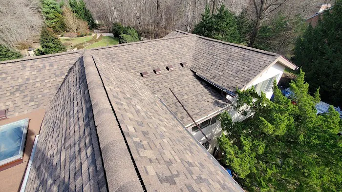 Nation Roof Picture 2