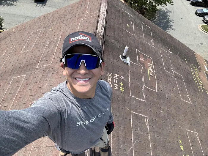 Nation Roof Picture 8