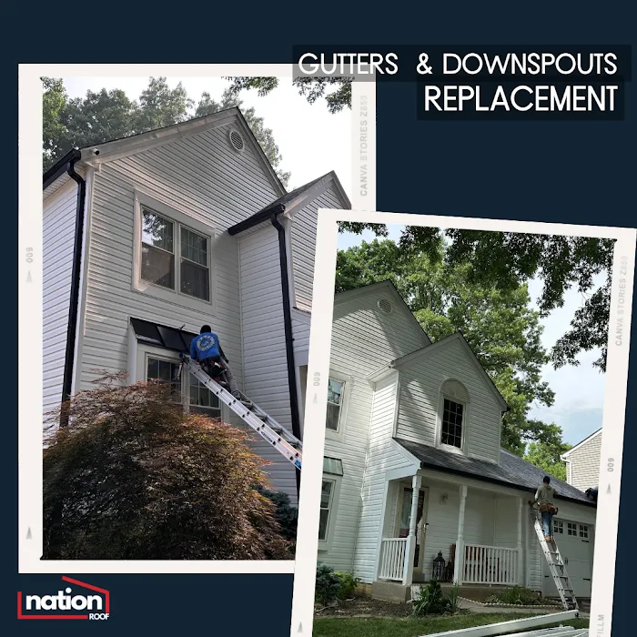 Nation Roof Picture 5