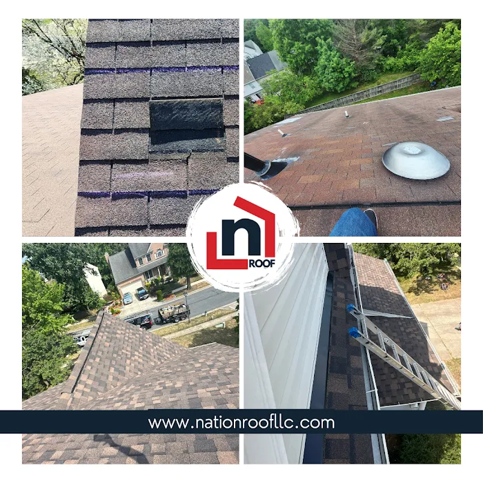 Nation Roof Picture 10