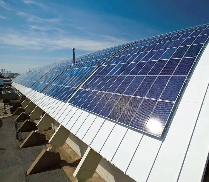 Advantage Green Solutions Picture 10