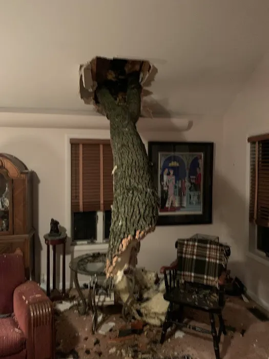 Wallace Roofing siding gutter sign window commercial residential flat metal asphalt shingle drywall insulation repairs Picture 3