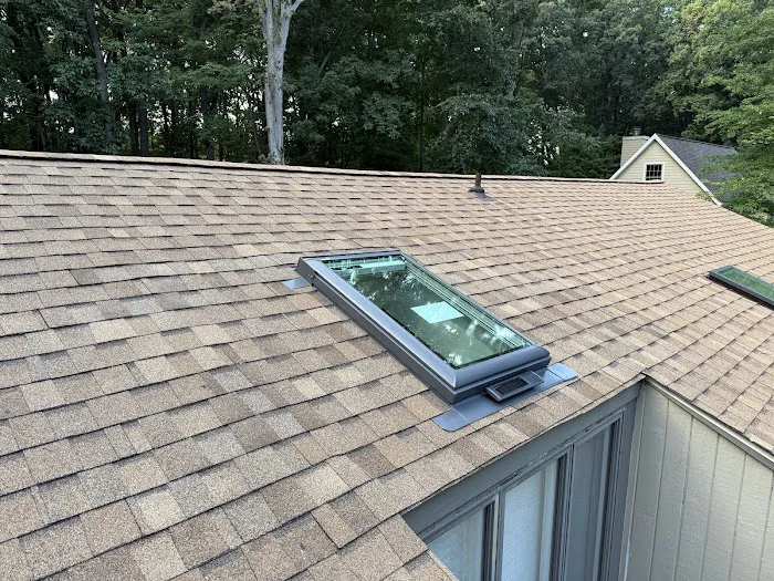 Bravo Roofing Picture 6