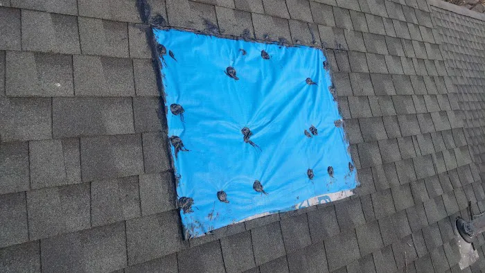 Hernandez Roofing Pros Picture 8