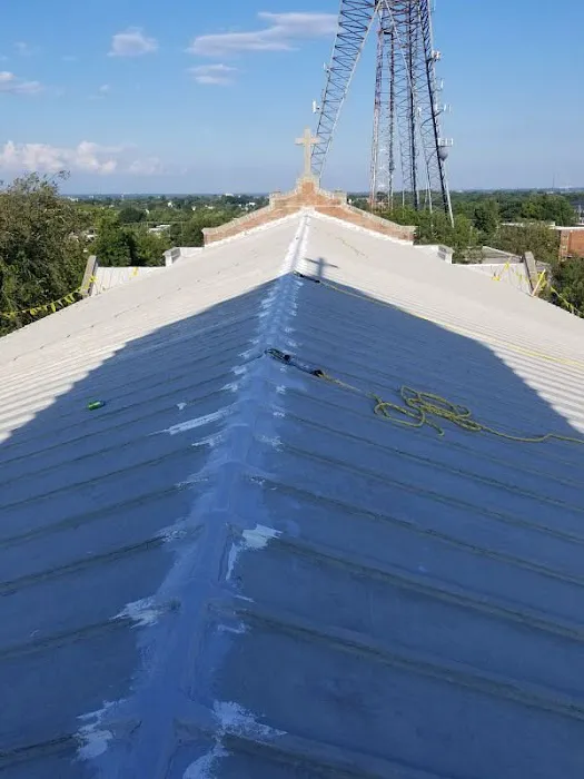 BRAX Roofing Picture 4