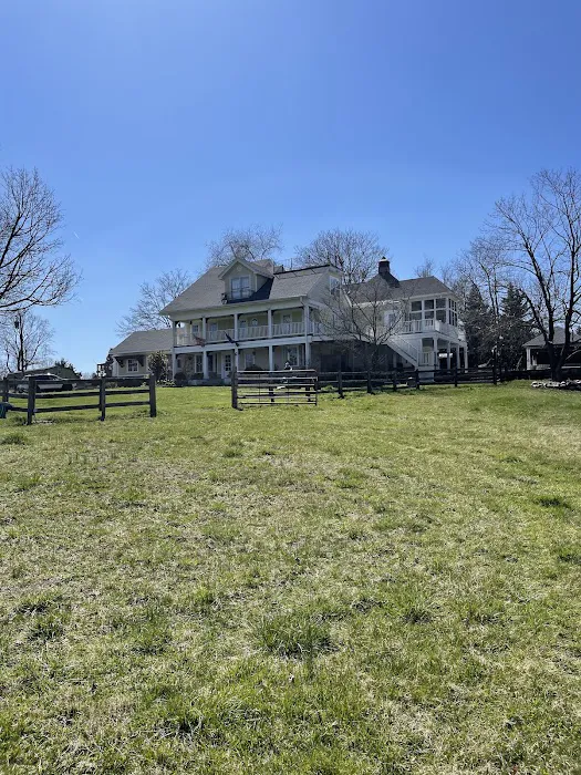 Rapid Roof Picture 2