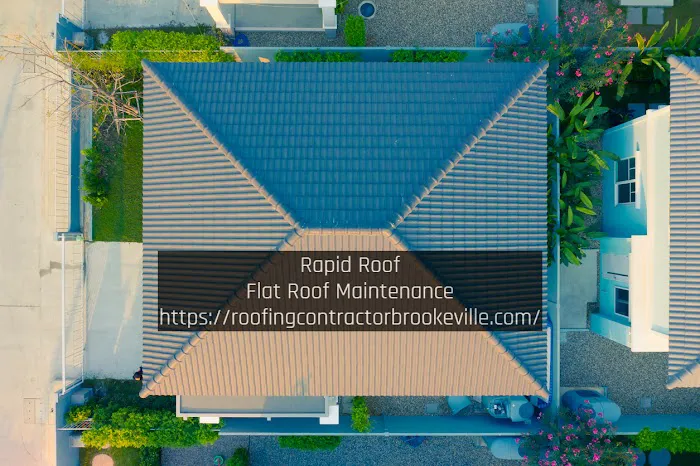 Rapid Roof Picture 4