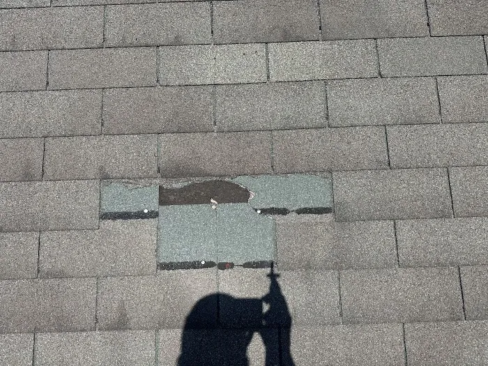 Rapid Roof Picture 5