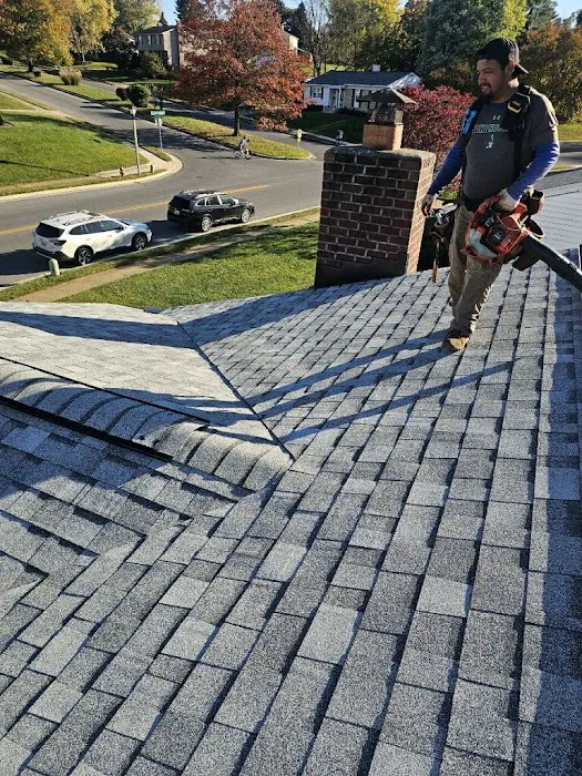 Next Level Exteriors Picture 7