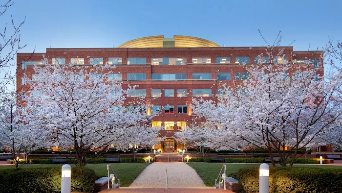 Next Level Exteriors Picture 8