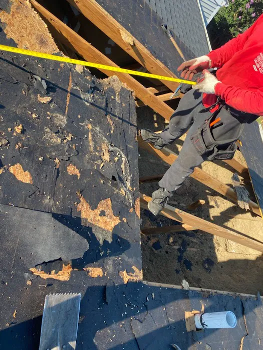 Skyline roofing Picture 2