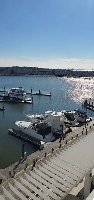 Skyline roofing Picture 5