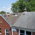 Alpha Design Services