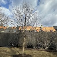 Manny General contruction inc ico