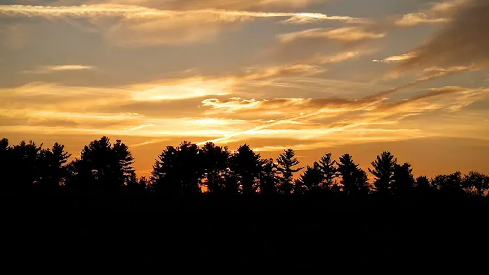 Richard Roofing Picture 3