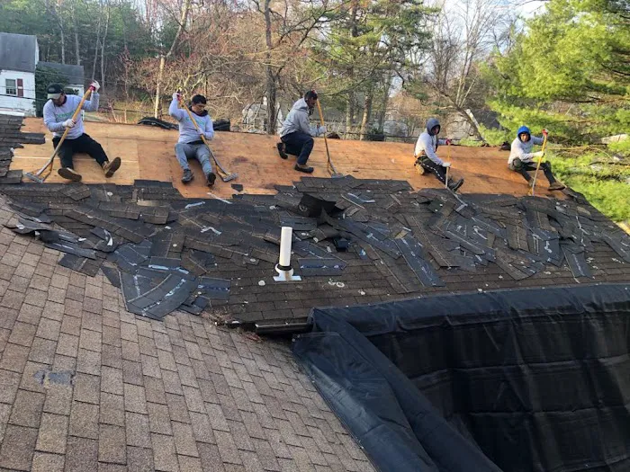 Emmaty Exteriors Picture 8