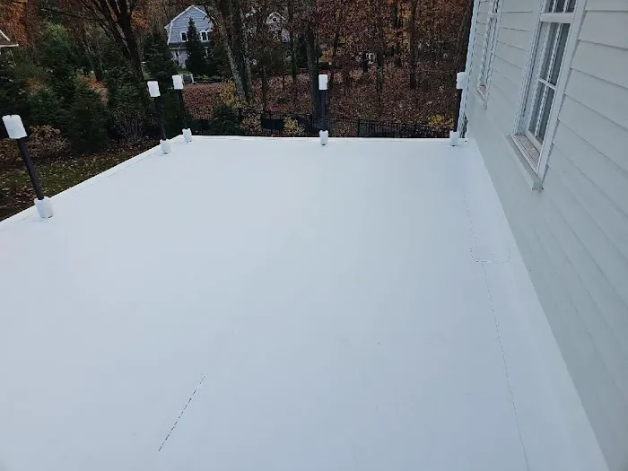 Classic Metal Roofs Picture 2