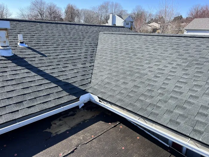 Mint Remodeling Group Picture 4