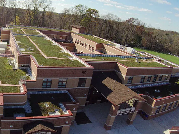 Cole Roofing Picture 6