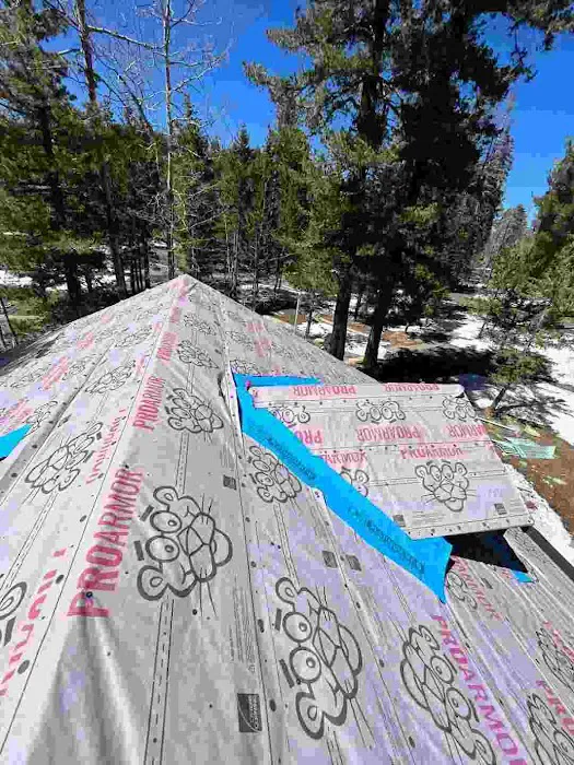 Apex Metal Roofing Picture 10