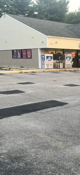 Apex Metal Roofing Picture 4