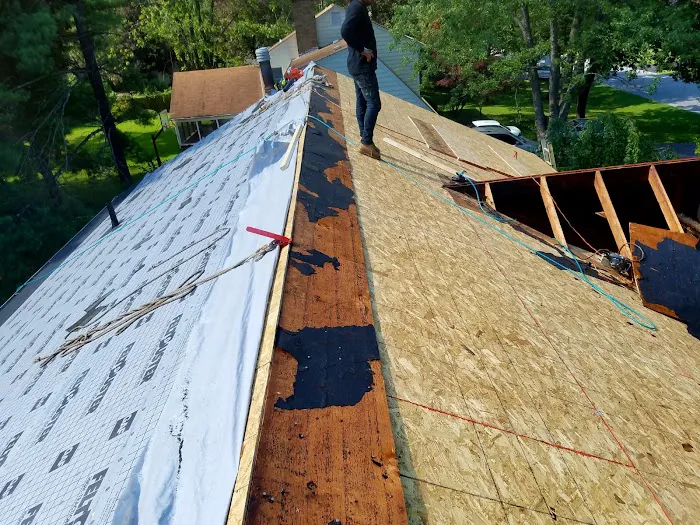 C&A Landscape & Construction Services Llc Picture 5