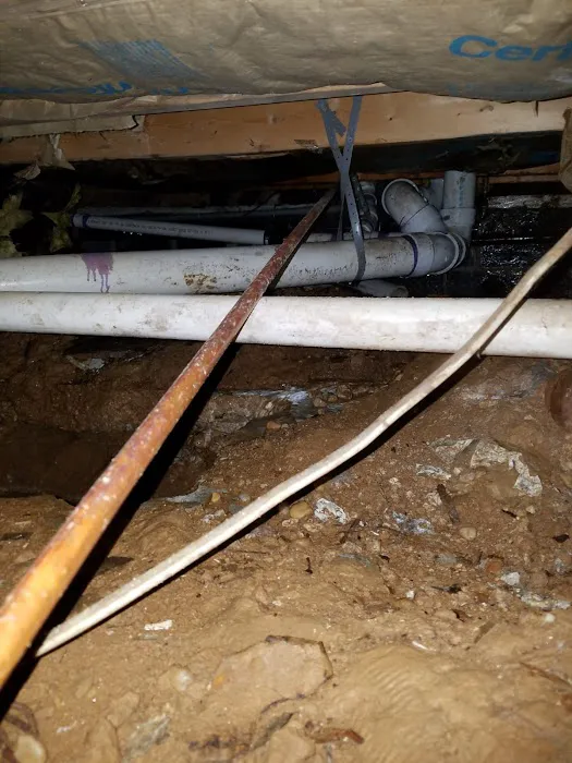 C&A Landscape & Construction Services Llc Picture 2