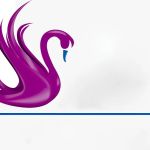 Swan Roofing Contracting