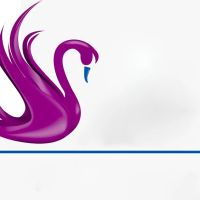 Swan Roofing Contracting ico