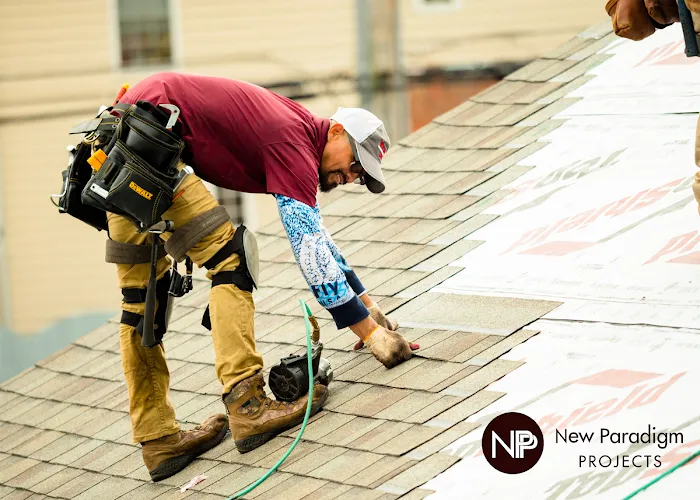 New Paradigm Projects Picture 8