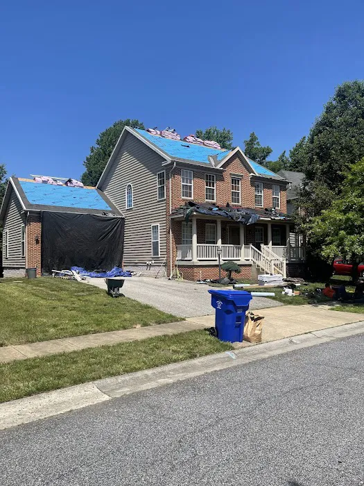 New Paradigm Projects Picture 3