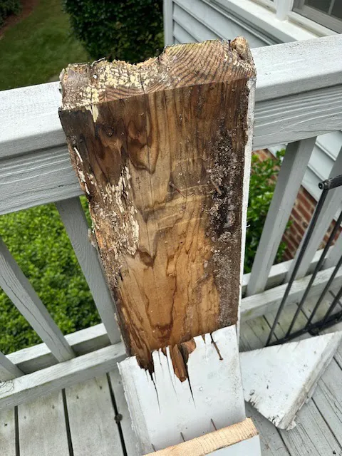 Rapid Response Remodeling Picture 5