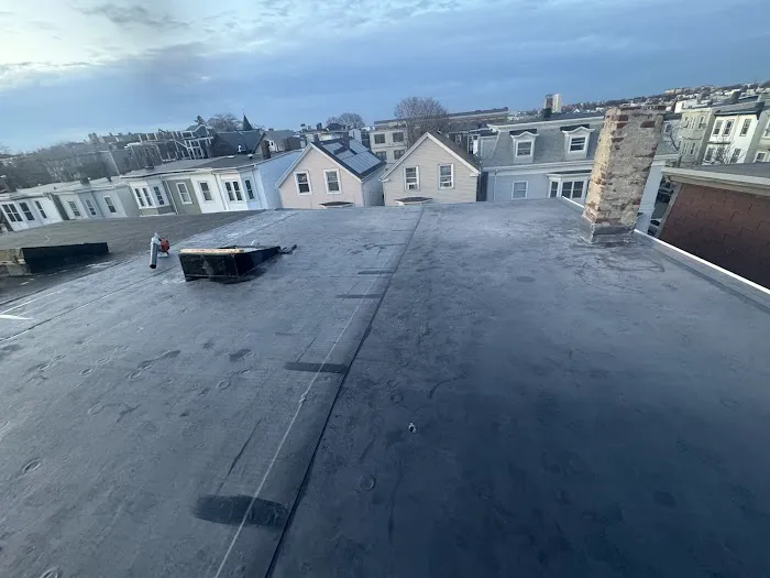 Firefox The Roofing Pro Picture 10