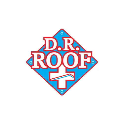 D.R. Roof Picture 1